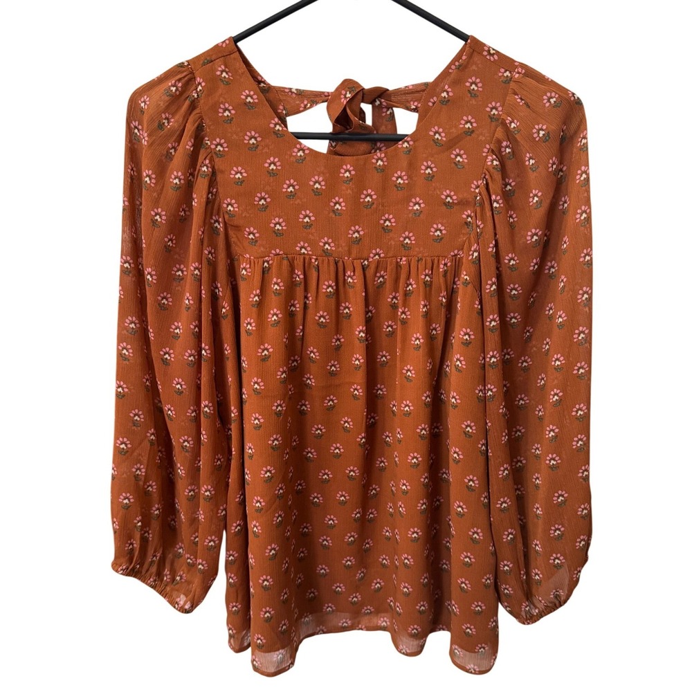 DR2 Floral Blouse Women Medium Brown‎ Tie Back Long Sleeve Boho Peasant Cottage